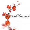 Dlicat'Essence  Narbonne